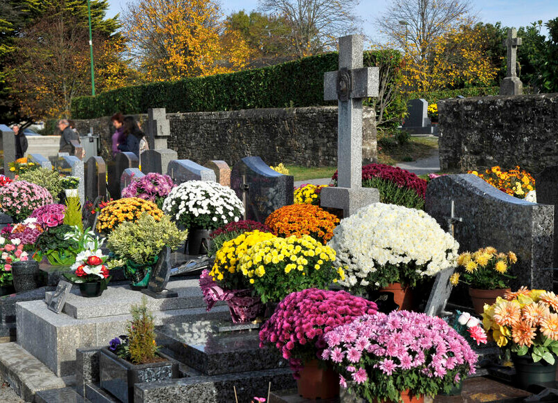 Le chrysanthème pierre tombale